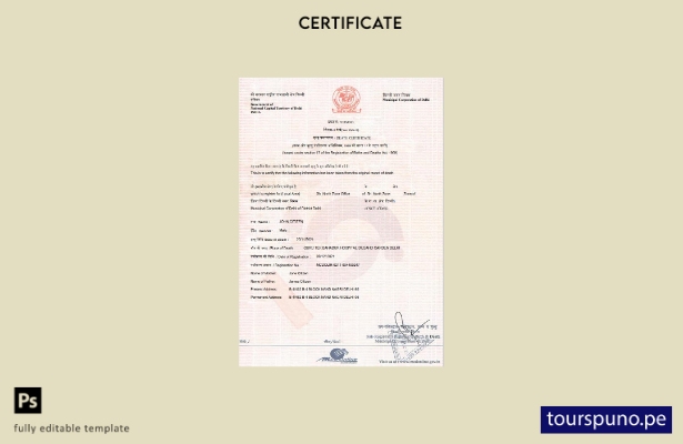 Plantilla de certificado de defunción de India lista para imprimir en formato Wo
